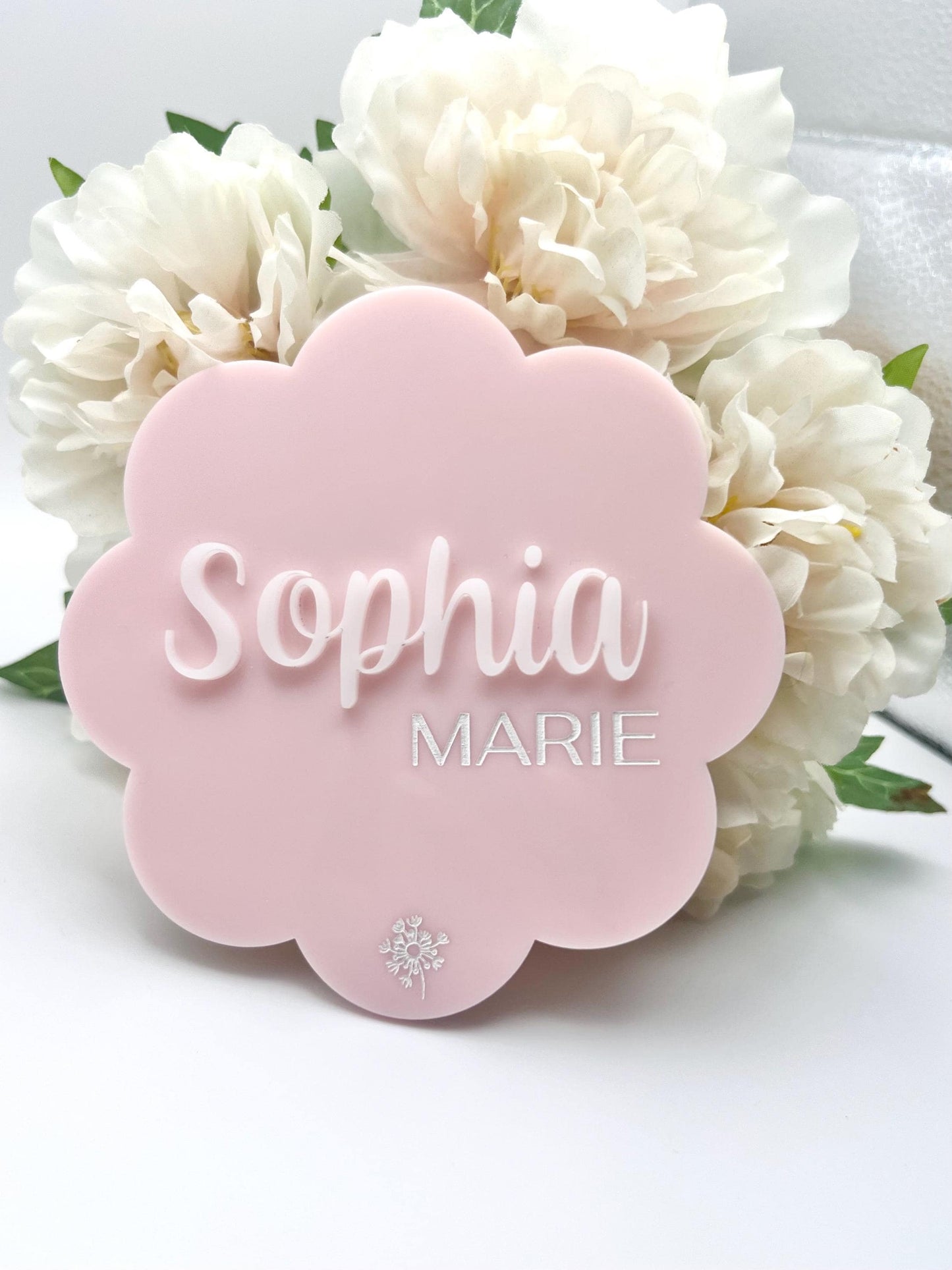 Newborn Name Plaque Photo Prop