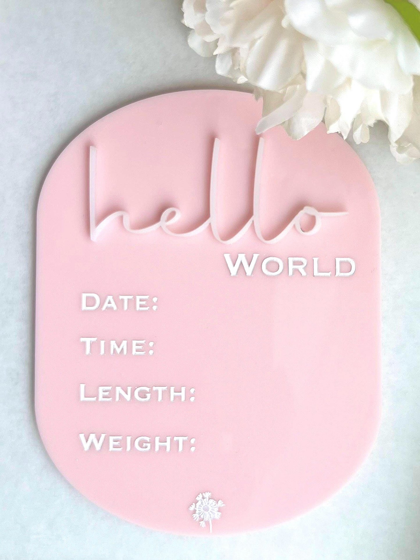 Hello World Newborn Announcement Sign Birth Stats Sign
